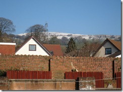 11 February 2012 - Garden - 002