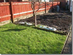 11 February 2012 - Garden - 003