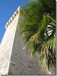 IMG_5519